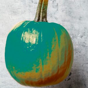 FAIRWAY SPOTLIGHTS TEAL PUMPKIN PROJECT THIS HALLOWEEN