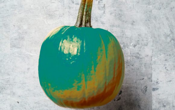 FAIRWAY SPOTLIGHTS TEAL PUMPKIN PROJECT THIS HALLOWEEN