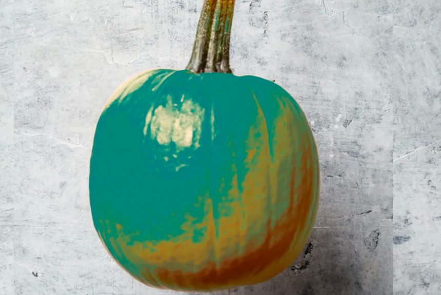 FAIRWAY SPOTLIGHTS TEAL PUMPKIN PROJECT THIS HALLOWEEN